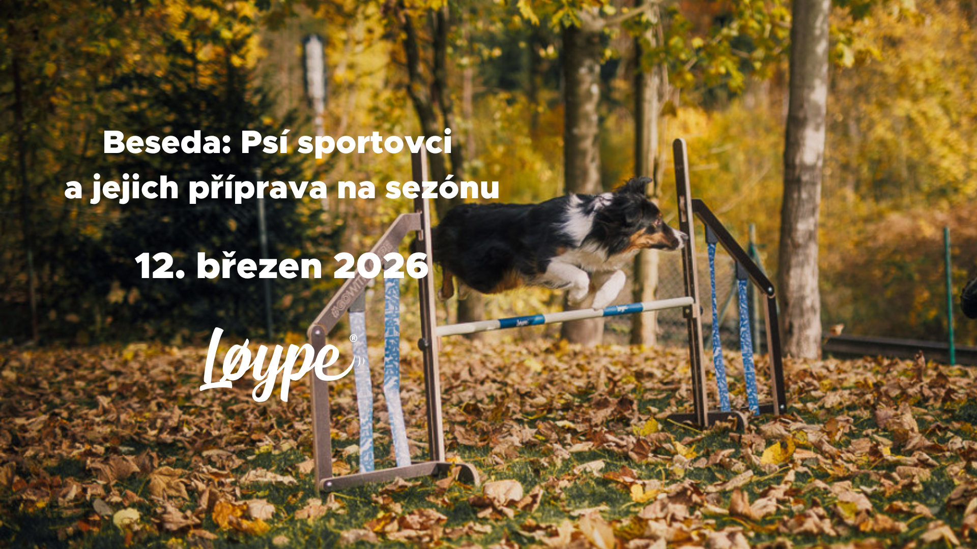 Beseda: Jak si správně hrát se psem s Kristýnou Másilkovou